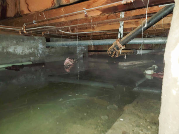 Local water damage restoration in Klamath Falls, OR