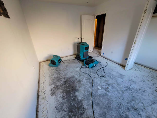 Best Flood damage cleanup  in Klamath Falls, OR