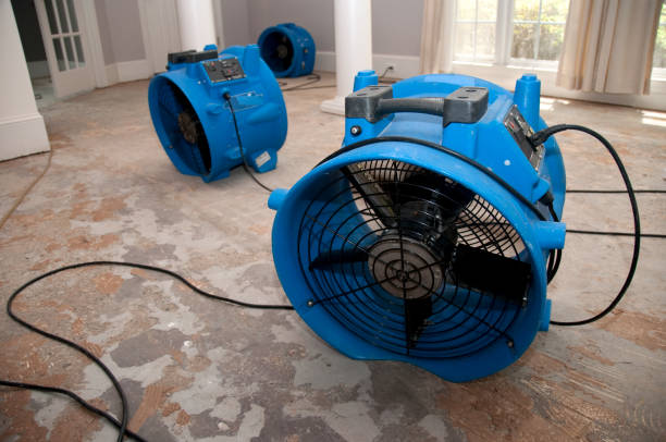 Best Professional water damage repair  in Klamath Falls, OR