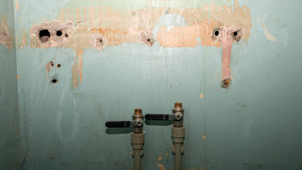 Best Water damage restoration process  in Klamath Falls, OR