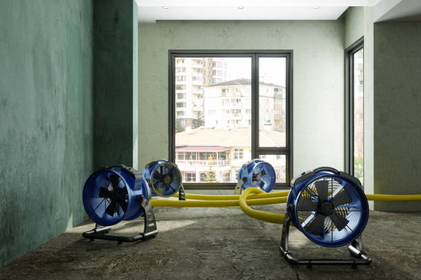 Best Carpet water damage restoration  in Klamath Falls, OR